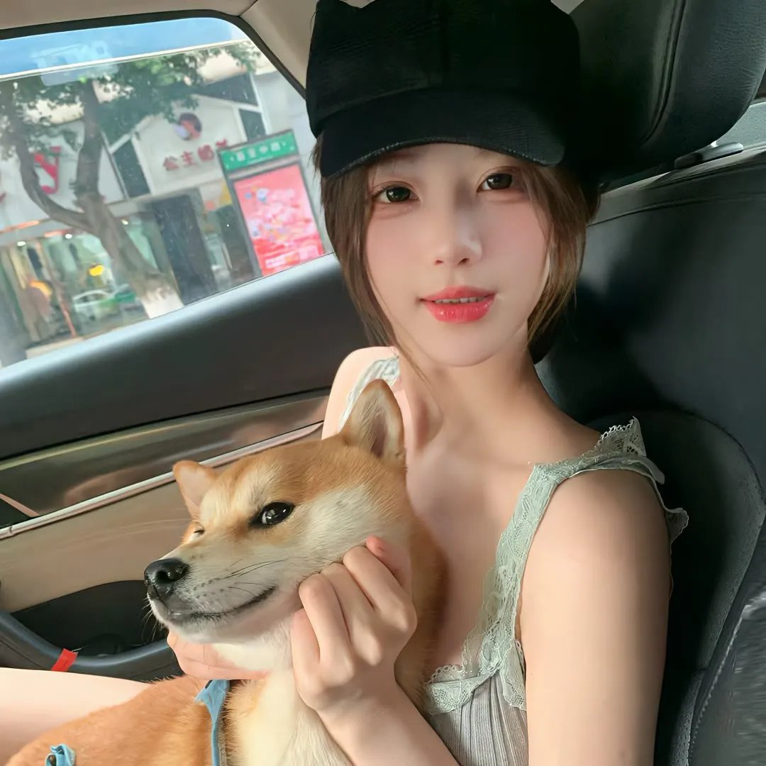 鱼与猫